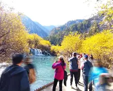 棋牌游戏-无焰泄放装置